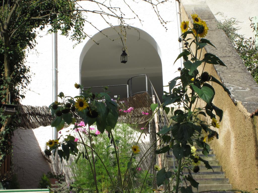 La Maison des Fontaines d'Alsace Ferrette Extérieur photo